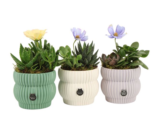 Picture of Consideration arrangement 02pp