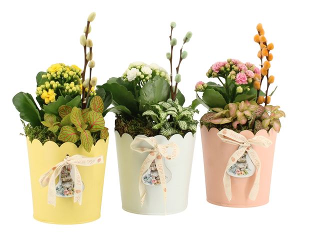 Picture of Easter arrangement