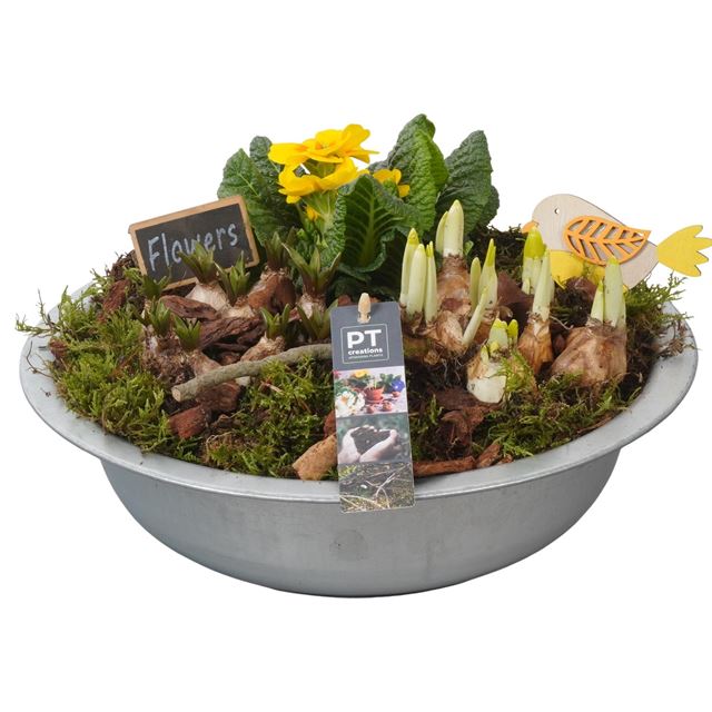 Picture of Spring arrangement 03pp