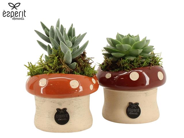 Picture of Autumn arrangement 01pp in ceramic - indoor