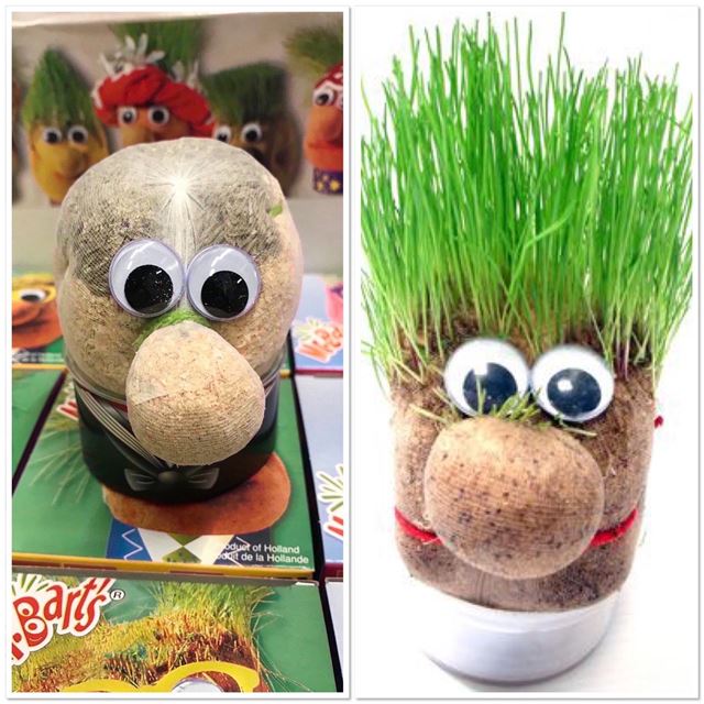 Picture of Mr  bart s