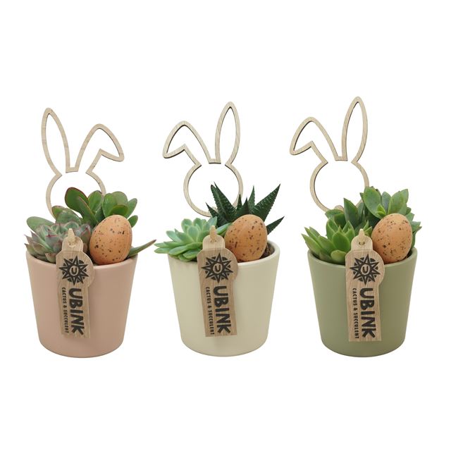 Picture of Easter arrangement 02pp in ceramic