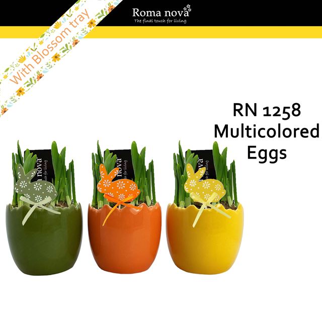 Picture of Narcissus multicolored eggs