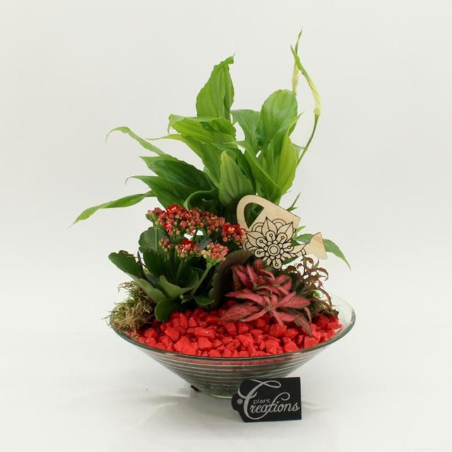 Picture of Red arrangement in glass