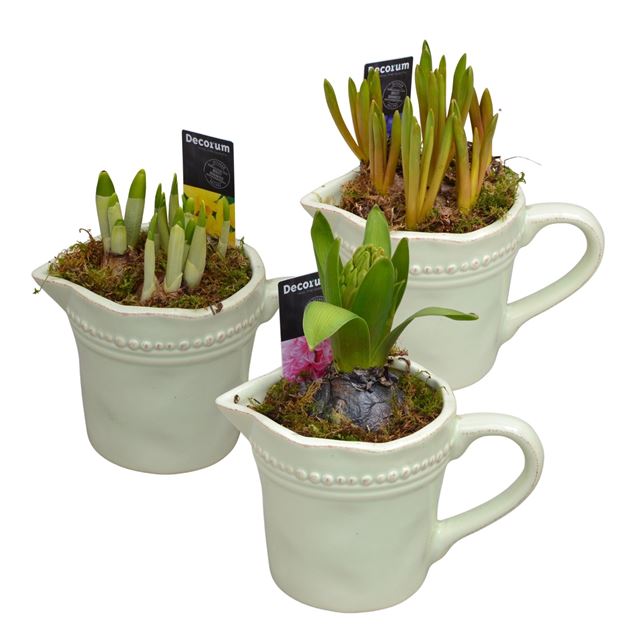 Picture of Bulbs mix ceramic jug