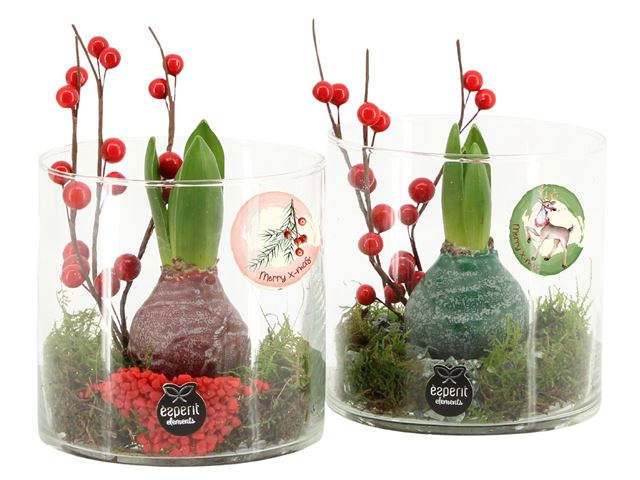 Picture of XMAS ARRANGEMENT 01PP GLASS