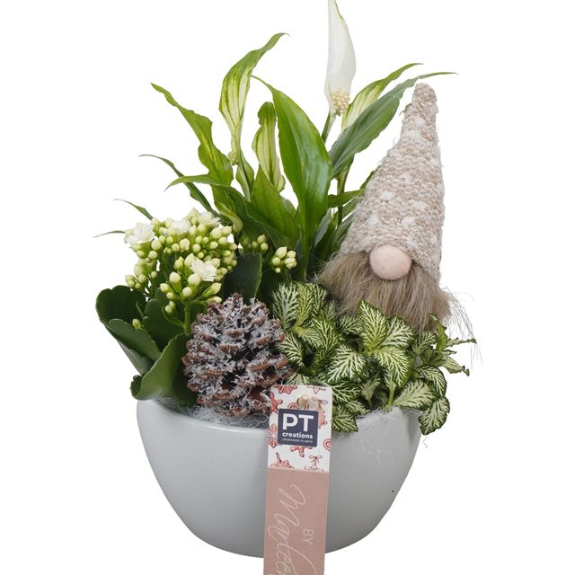 Picture of XMAS ARRANGEMENT 03PP IN CERAMIC