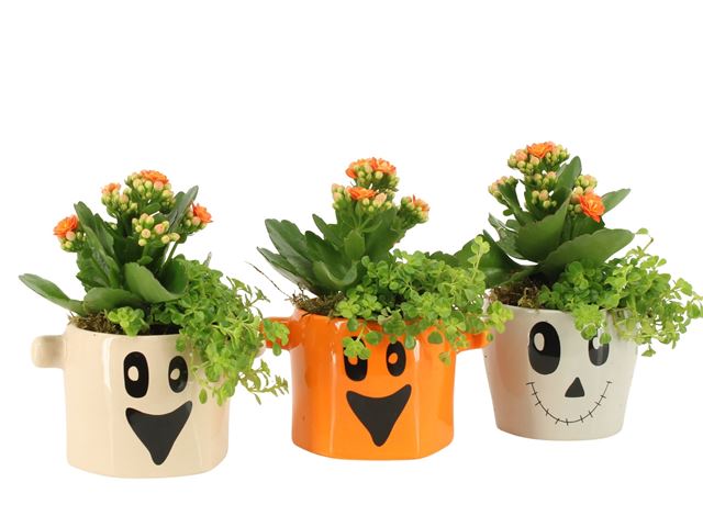 Picture of Halloween arrangement 02pp ceramic
